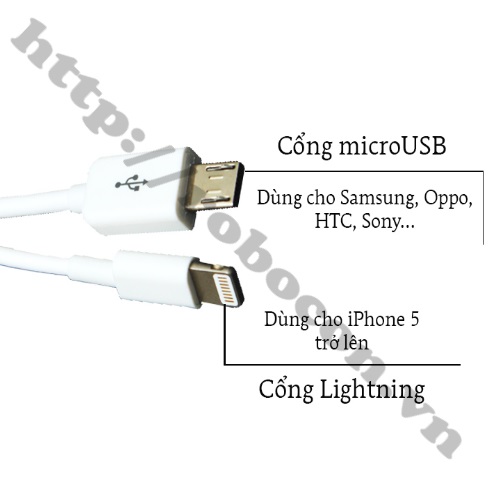 Dây cáp 2 cổng Micro USB và Apple Lightnight dài 20cm