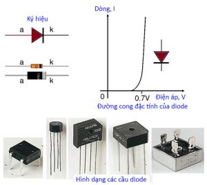  Cấu tạo và hình ảnh thực tế của diode