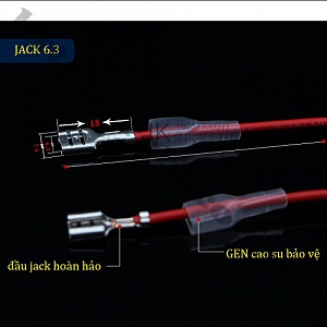 CO221 DÂY 2 ĐẦU CHẤU 6.3 NỐI ...