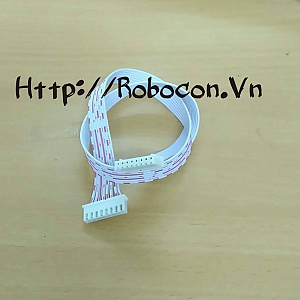 CO18 Dây nối cắm trắng cái 8p