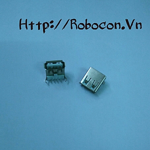 CO20 Đầu Cắm usb cái type A