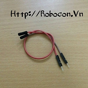 CO24 Dây nối 20cm đực cái
