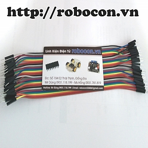 CO25 Tệp 40 sợi dây nối 20cm_10 ...
