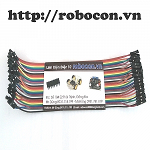 CO27 Tệp 40 sợi dây nối 20cm_10 ...