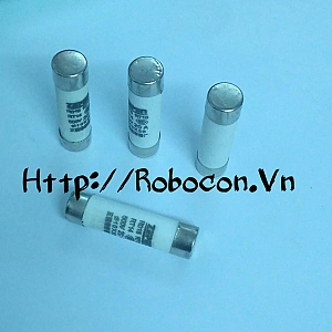 CC10 CẦU CHÌ ỐNG SỨ 32A 10X38mm