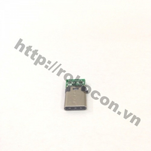 CO46 Cổng USB type C