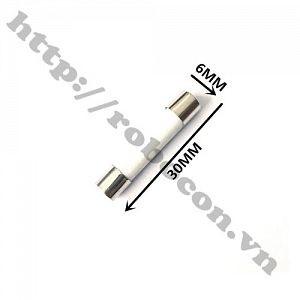  CC20 Cầu Chì Ống Sứ 10A 6x30mm