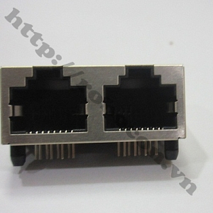 CO110 Đầu Cổng RJ45 Đôi Cái  ...