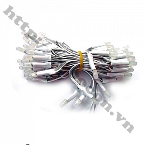 LED91 LED Liền Dây Phi 5 Màu Trắng (100 Bóng)