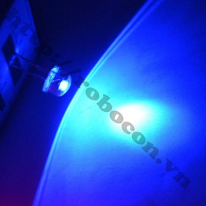 LED94 LED Lùn 8mm Xanh Lam