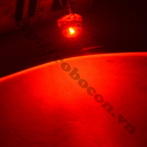 LED96 LED Lùn 8mm Đỏ