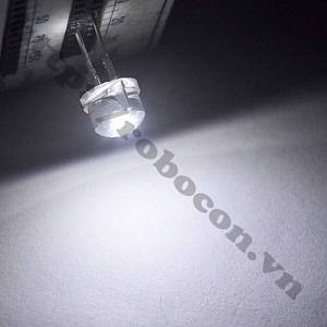  LED13 LED Lùn 8mm Trắng  