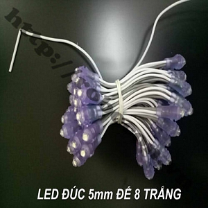 LED102 LED Đúc Phi 5mm Đế 8mm Ánh Sáng Trắng