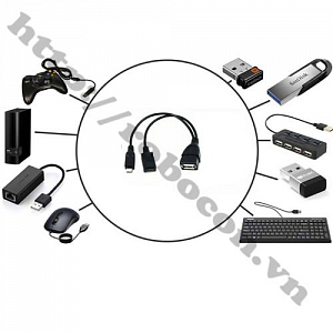 CO129 Cáp OTG Chữ Y Micro USB ...