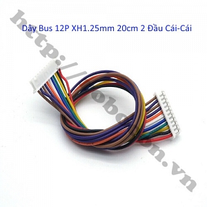 CO260 DÂY BUS 12P XH1.25MM 20CM 2 ...
