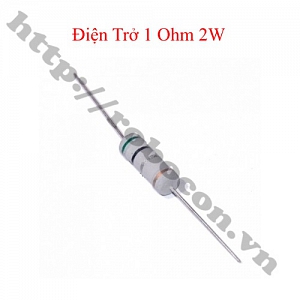 DT297 Điện Trở Cắm 1 Ohm 1R ...