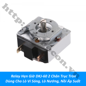 LKGD25 Relay Hẹn Giờ DKJ-60 2 Chân ...