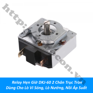  LKGD25 Relay Hẹn Giờ DKJ-60 2 Chân Trục Tròn Dùng ...